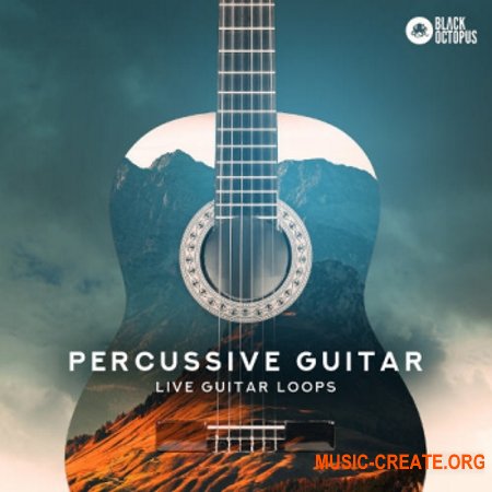 Black Octopus Sound Percussive Guitar (WAV) - сэмплы гитары