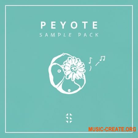Samplified Peyote Sample Pack (WAV MASSiVE SERUM) - сэмплы Future Bass