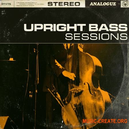 Touch Loops Upright Bass Sessions (WAV) - сэмплы контрабаса