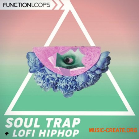 Function Loops Soul Trap And Lo-Fi Hip Hop (WAV MiDi) - сэмплы Trap, Hip Hop