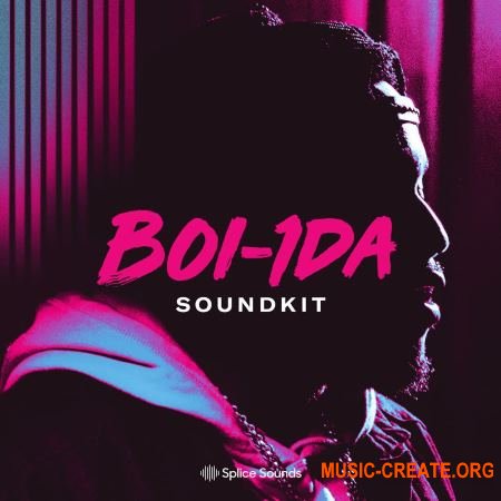 Splice Sounds Boi-1da Soundkit Bare Sounds for Your Headtop (WAV) - сэмплы Hip Hop