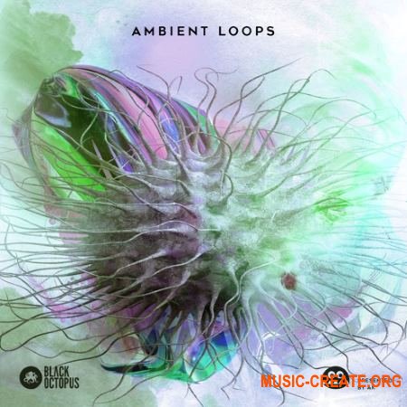 Black Octopus Sound AK: Ambient Loops (WAV) - сэмплы Ambient