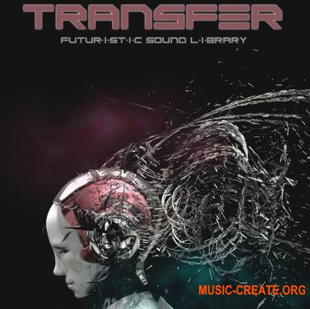 Silence+Other Sounds Transfer Lite Edition (WAV) - звуковые эффекты