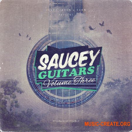 Julez Jadon Saucey Guitars Vol 3 (WAV) - сэмплы гитары