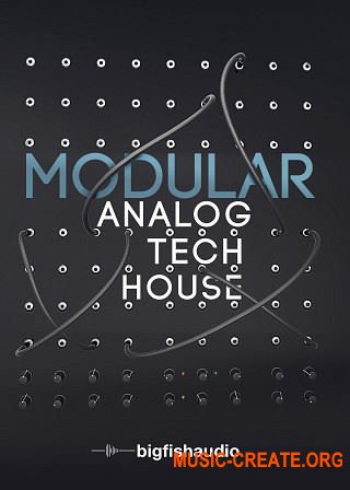 Big Fish Audio Modular: Analog Tech House (KONTAKT) - библиотека Tech House