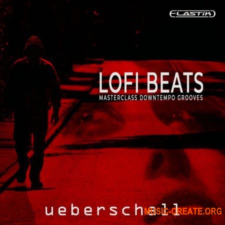 Ueberschall LoFi Beats (ELASTIK) - банк для плеера ELASTIK