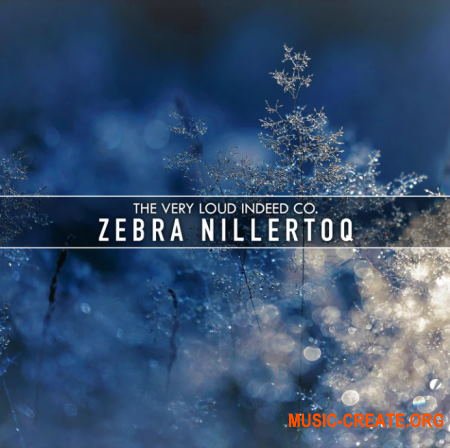 The Very Loud Indeed Co. Zebra Nillertoq (U-HE ZEBRA 2)