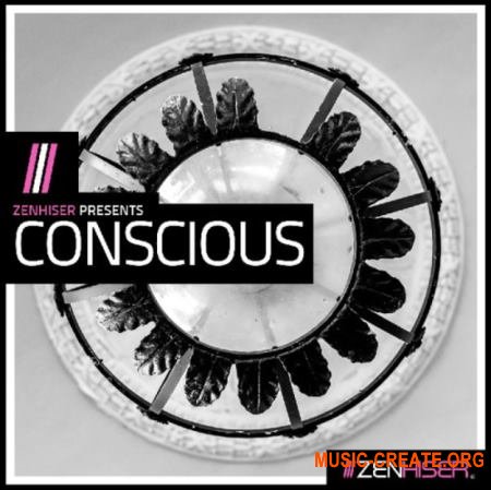 Zenhiser Conscious (WAV) - сэмплы Chill, Downtempo