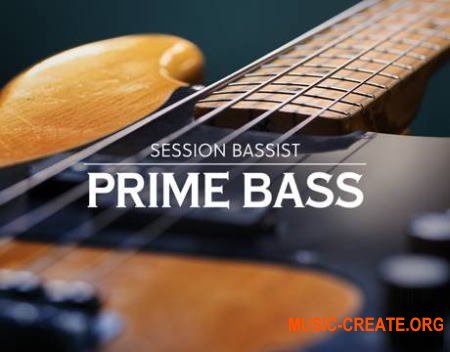 Native Instruments Session Bassist Prime Bass (KONTAKT) - библиотека бас-гитары