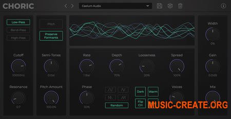 Caelum Audio Choric v1.0.5 (Team R2R)