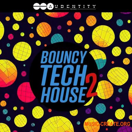 Audentity Records Bouncy Tech House 2 (WAV Serum presets)
