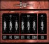 EP-Phazer от BigTick - VST модуляция EP-Phazer от BigTick - VST модуляция