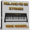 SONIC WONDER - ROLAND RS 09 (Kontakt) - синтезатор органа SONIC WONDER - ROLAND RS 09 (Kontakt) - синтезатор органа