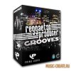 Reggaeton Producer Grooves от Prime Loops - сэмплы Reggaeton Reggaeton Producer Grooves от Prime Loops - сэмплы Reggaeton