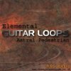 Elemental Guitar Loops от Homegrown Sounds - сэмплы гитары Elemental Guitar Loops от Homegrown Sounds - сэмплы гитары