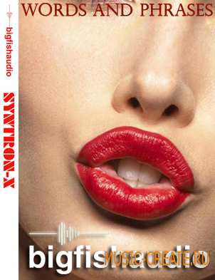 Words and Phrases от Big Fish Audio - сэмплы синтезированного вокала Words and Phrases от Big Fish Audio - сэмплы синтезированного вокала