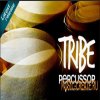 Tribe Percussor от Cluster Sound - лупы перкуссионных инструментов Tribe Percussor от Cluster Sound - лупы перкуссионных инструментов