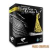 Essential Flamenco Guitars от Prime Loops - звуки гитары (KONTAKT) Essential Flamenco Guitars от Prime Loops - звуки гитары (KONTAKT)