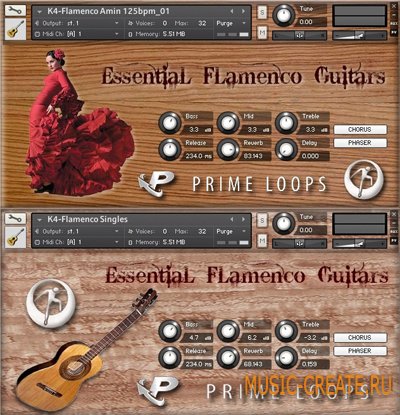 Prime Loops Essential Flamenco Guitars