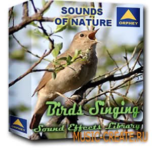 Birds Singing Sound Effects Library от Orphey - звуки птиц (WAV)