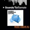 SM101 Massive Mainroom Patches - пресеты для Massive SM101 Massive Mainroom Patches - пресеты для Massive
