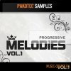 Pakotec Productions Progressive Melodies Vol 1 (wav) - сэмплы Progressive House Pakotec Productions Progressive Melodies Vol 1 (wav) - сэмплы Progressive House