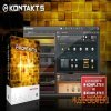 Native Instruments - Kontakt 5 Factory Library (KONTAKT) Native Instruments - Kontakt 5 Factory Library (KONTAKT)