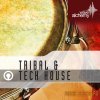Wave Alchemy Tribal & Tech House (WAV, REX 2, AiFF) - сэмплы Tribal, Tech House Wave Alchemy Tribal & Tech House (WAV, REX 2, AiFF) - сэмплы Tribal, Tech House