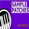 Loopport Sampler Patches (MULTiFORMAT) - сэмплы для классических рифов Loopport Sampler Patches (MULTiFORMAT) - сэмплы для классических рифов