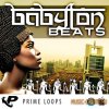 Prime Loops Babylon Beats (WAV) - сэмплы Ambient, Lounge, Trip Hop, Downbeat, R&B Prime Loops Babylon Beats (WAV) - сэмплы Ambient, Lounge, Trip Hop, Downbeat, R&B