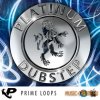 Platinum Dubstep от Prime Loops - сэмплы Dubstep, Breakbeat & Breaks, Dub, Downbeat (MULTiFORMAT)