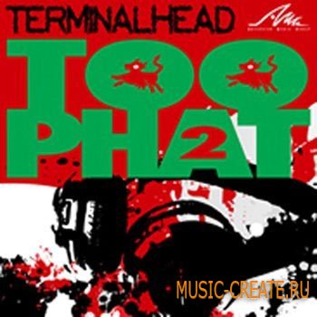 AMG Too Phat 2 (WAV REX) - сэмплы Breaks, Electro, Electronica, House, Techno AMG Too Phat 2 (WAV REX) - сэмплы Breaks, Electro, Electronica, House, Techno
