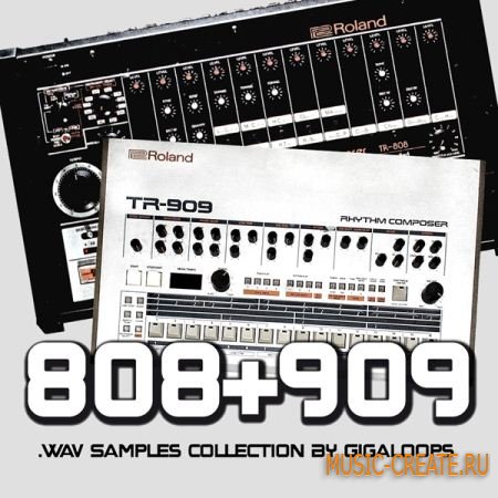 Giga Loops Dance Drums (WAV) - драм сэмплы Giga Loops Dance Drums (WAV) - драм сэмплы
