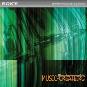 Rhythmicronics: Processed Percussion от Sony Creative Software - сэмплы перкуссий (WAV ACiD) Rhythmicronics: Processed Percussion от Sony Creative Software - сэмплы перкуссий (WAV ACiD)