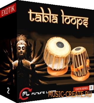 Future Loops Tabla Loops (WAV REX AiFF) - сэмплы индийского табла Future Loops Tabla Loops (WAV REX AiFF) - сэмплы индийского табла
