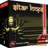 Future Loops Sitar Loops (WAV REX) - сэмплы ситара