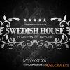 Swedish House от Loopmasters - сэмплы House (MULTiFORMAT) Swedish House от Loopmasters - сэмплы House (MULTiFORMAT)