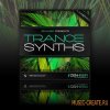 Trance Synths от Zenhiser - сэмплы Trance (WAV) Trance Synths от Zenhiser - сэмплы Trance (WAV)