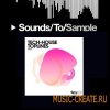 SM101 Tech-House Toplines (WAV) - сэмплы Tech-House
