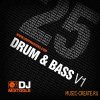 Loopmasters DJ Mixtools 25: Drum & Bass Vol 1 (WAV) - элементы Drum & Bass треков Loopmasters DJ Mixtools 25: Drum & Bass Vol 1 (WAV) - элементы Drum & Bass треков