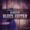 Organic Loops Acoustic Blues Guitar (Multiformat) - сэмплы акустической гитары Organic Loops Acoustic Blues Guitar (Multiformat) - сэмплы акустической гитары