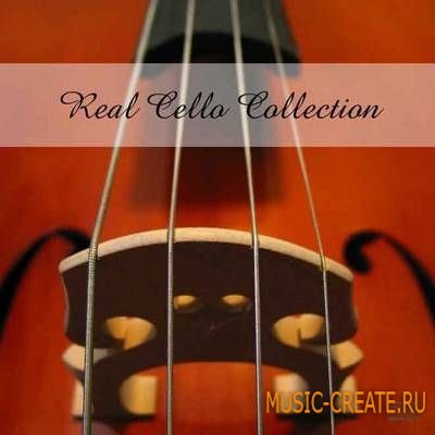 realsamples Real Cello Collection (MULTiFORMAT) - сэмплы виолончели