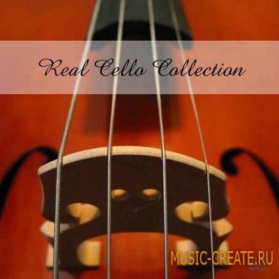 realsamples Real Cello Collection (MULTiFORMAT) - сэмплы виолончели realsamples Real Cello Collection (MULTiFORMAT) - сэмплы виолончели
