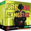 Future Loops Urban Gangstaz (WAV) - сэмплы Hip Hop Future Loops Urban Gangstaz (WAV) - сэмплы Hip Hop