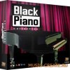 Rafik Loops Black Piano Collection (wav midi rex2 aiff) - сэмплы Hip Hop, Pop, R&B, Dance, Soul