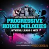 Loopmasters Progressive House Melodies (wav midi rex2) - сэмплы Deep, Tech, Progressive, Electro House Loopmasters Progressive House Melodies (wav midi rex2) - сэмплы Deep, Tech, Progressive, Electro House