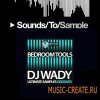 Bedroom Muzik DJ Wady Ultimate Samples Grooves (WAV) - сэмплы house, tech house