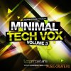 Loopmasters Minimal Tech Vox 3 (WAV REX2) - вокальные сэмплы Loopmasters Minimal Tech Vox 3 (WAV REX2) - вокальные сэмплы