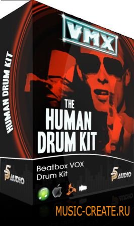P5 Audio - VMX Human Drum Kit (MULTiFORMAT) - сэмплы Hip Hop