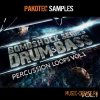 Pakotec Productions Bombshock: D&B Percussion Loops Vol 1 (WAV REX AiFF) - сэмплы drum and bass Pakotec Productions Bombshock: D&B Percussion Loops Vol 1 (WAV REX AiFF) - сэмплы drum and bass